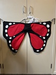 Dress-Up - Ladybird cape