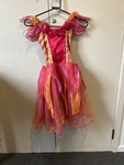 Fire Fly Fairy Dress Up