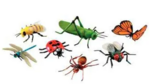 Jumbo Insects - Set of 7