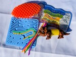 0485: Sensory Explorers Set 3