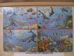 Ocean Life Puzzle