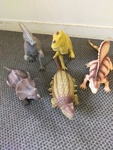 5 Large Dinosaurs
