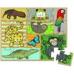 In The Rainforest Puzzle