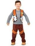 Cowboy or Cowgirl costume