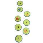 Frog hopscotch