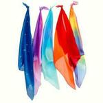 Sarah's Silks Enchanted set