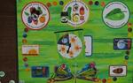 The Very Hungry Caterpillar Game