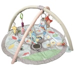 Skip Hop Activity Gym
