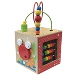 Hape Discovery Box Wooden Activity Centre 