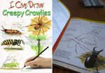 I Can Draw Creepy Crawlies Drawing Set ( Minibeast )
