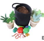 Compost and Worm Life Cycle