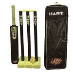 Smash Cricket set