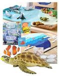 Discover Our Oceans Play Set