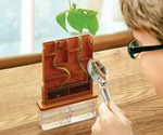Bean Maze Mini Experiment Kit (STEM - Biology - Germination)