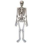 Skeleton foam puzzle