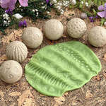 493: Roll Around Nature - Play / Salt Dough Set
