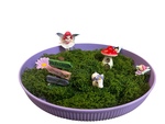 1029: Small Fairy Garden