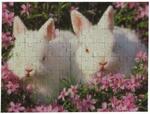 Rabbits puzzle