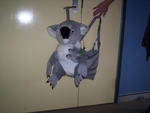 Koala Wrap n Ride