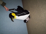 Penguin Wrap n Ride