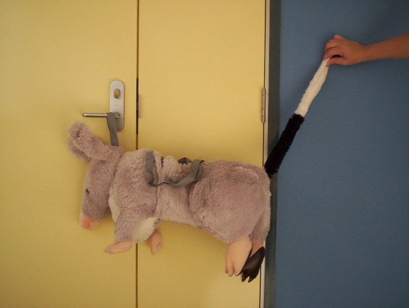 340: Bilby Wrap n Ride