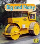 Big and Noisy