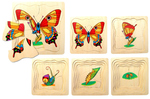 Butterfly Lifecycle Layer Puzzle