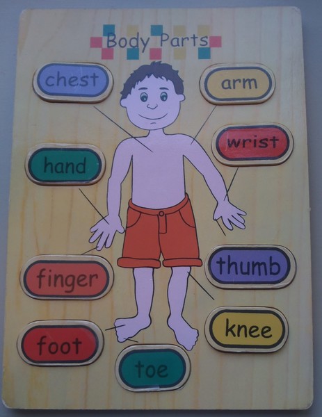 212: Body Parts Puzzle