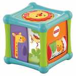 Animal Activity Cube