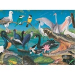 Wild Australia - Wetlands - 300 Pieces