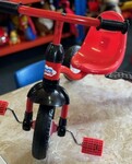 Young Ones Trike