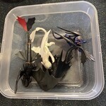 Box of How to Train your Dragons