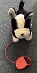 Walking Dog on Lead