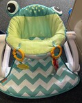 Frog Baby Floor Seat