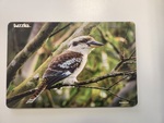 Kookaburra puzzle