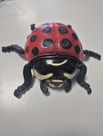 Giant Ladybug