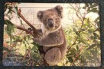 P142: Koala Puzzle 12 Pieces
