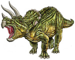PUZ026: Triceratops Floor Puzzle