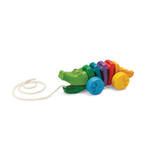 B34: Rainbow Alligator