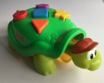 Popping Turtle