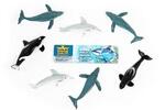 Whales and Dolphins Collection