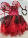 Ladybird costume 