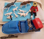 Snow Ski & Arctic Animals