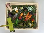 Tray of Bugs