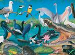 Australian Wetlands Puzzle