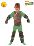 Teenage Mutant Ninja Turtles Costume