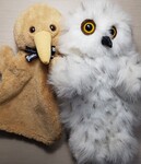 Two Birds from Far Away