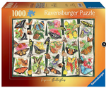 Tropical Butterflies