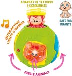 Jungle Animal Roll & Learn