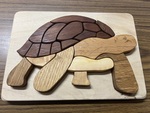 Wooden Turtle 